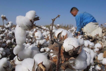New tool tackles transparency in cotton supply chains