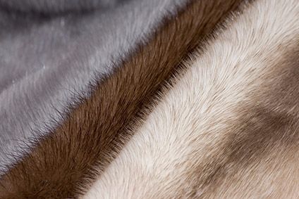 Donna Karan and DKNY to go fur-free