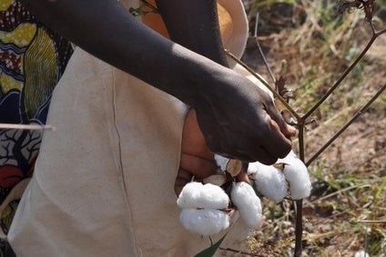 Uganda latest to join Cotton made in Africa initiative