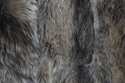 Estonia passes bill to ban fur farming