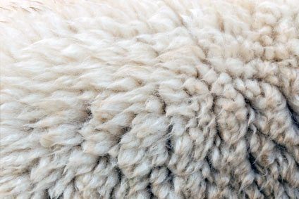Nativa regenerative wool program launches in US