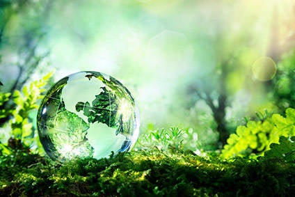 consumers SAC green environment sustainability environmental