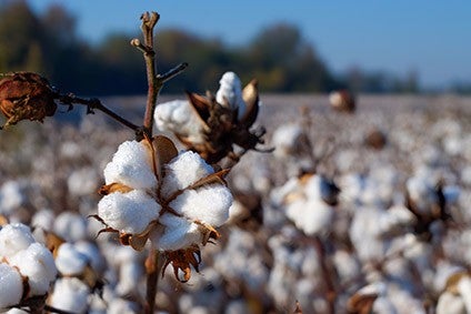 Top China cotton producer placed on US trade ban list