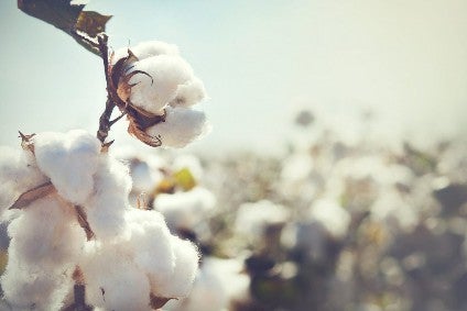 Better Cotton Initiative halts Xinjiang operations