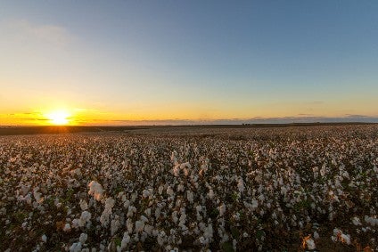 Wrangler takes sustainable cotton programme to Europe