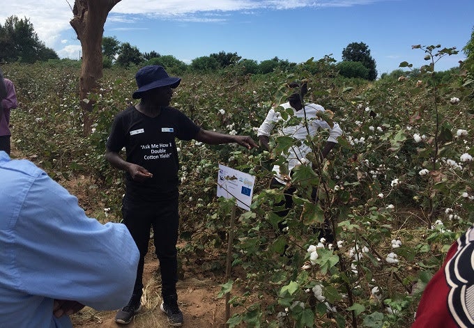 ICAC, ITC Zambia cotton project