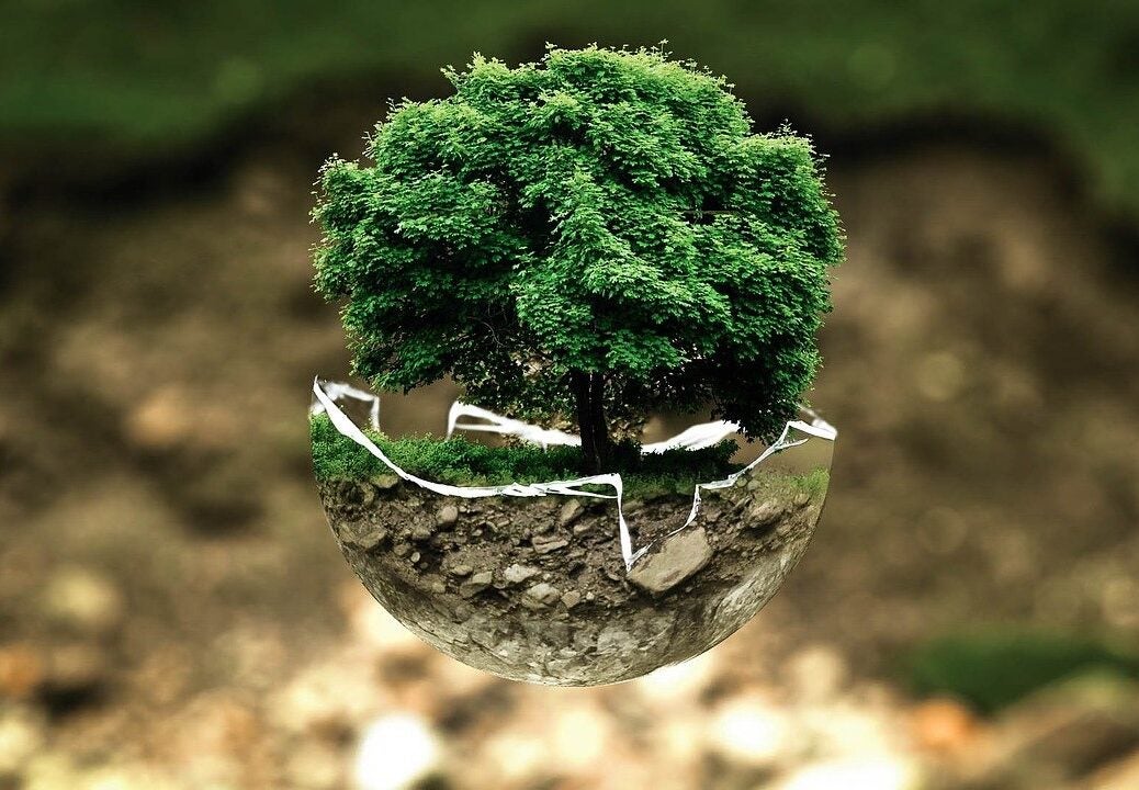 regenerative farming