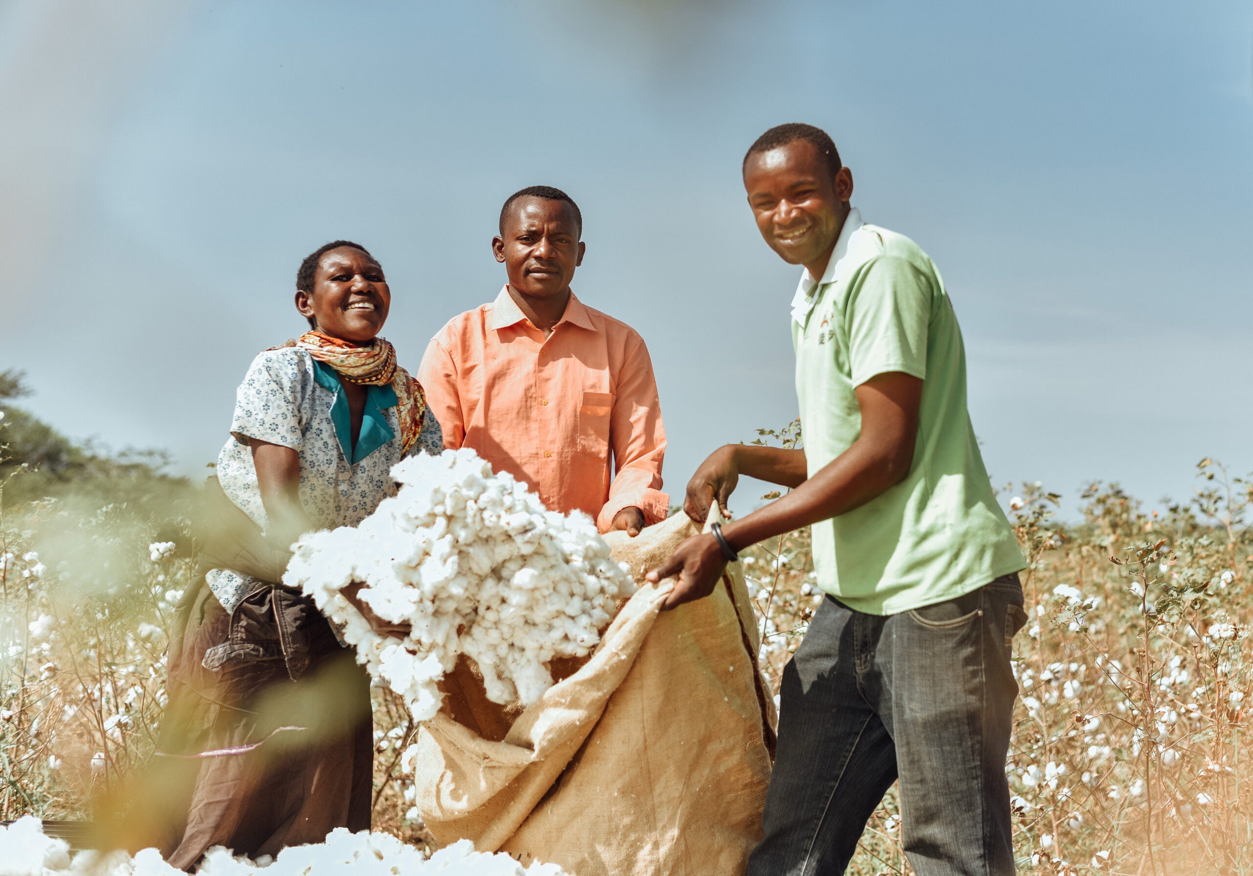 Cotton Made in Africa training proven to increase cotton yields