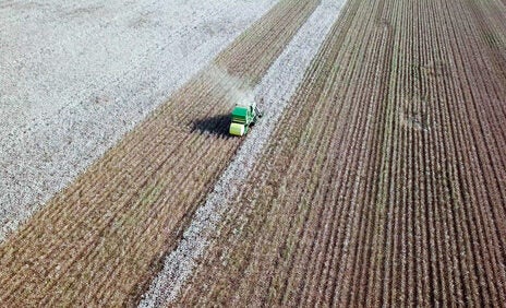 2022 Beltwide Cotton Conferences to include sustainability event 2022 Beltwide Cotton Conferences to include sustainability event