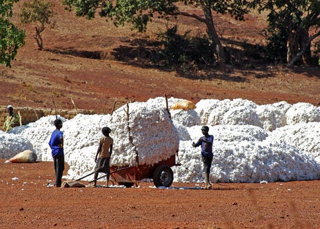 FibreTrace to create traceable cotton supply chain in Africa FibreTrace to create traceable cotton supply chain in Africa
