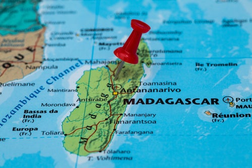 Madagascar apparel