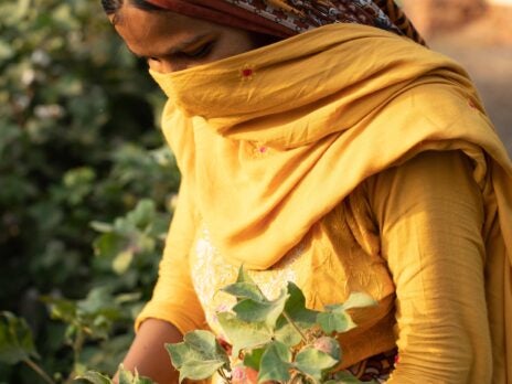 Better Cotton to manage growth fund under IDH reshape