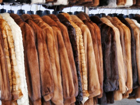 Italy to ban all fur farming and close farms in six months