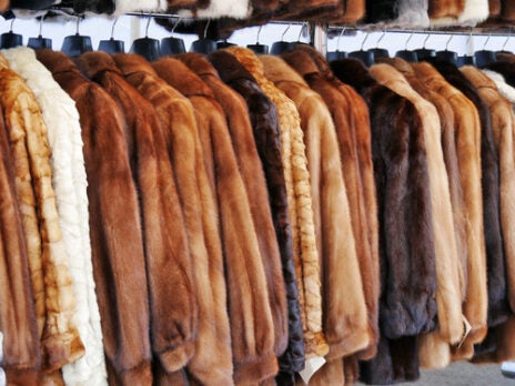 Italy to ban all fur farming and close farms in six months Italy to ban all fur farming and close farms in six months