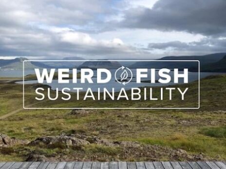 Weird Fish, Green Story launch sustainable apparel metrics