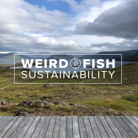 Weird Fish sustainable metrics