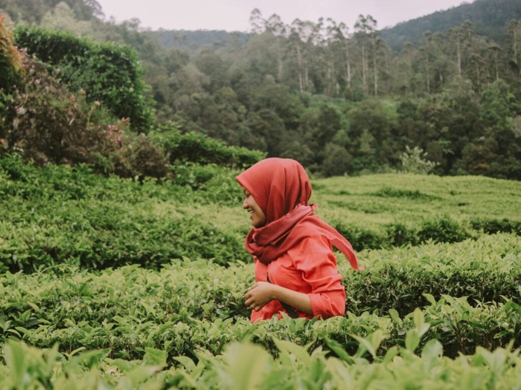 H&M women Bangladesh Stitch