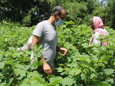 Largest global Regenerative Organic Cotton project launches Largest global Regenerative Organic Cotton project launches