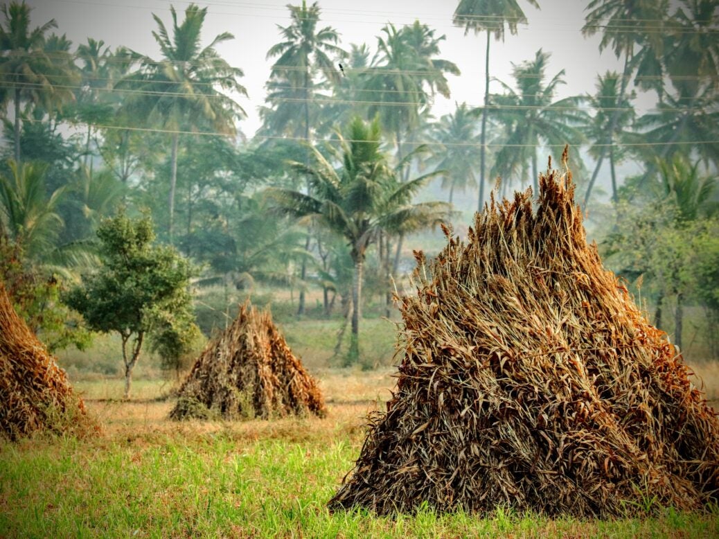 Fashion for Good agricultural waste