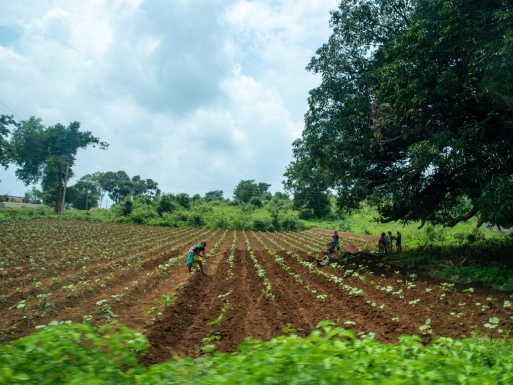 oca Organic Cotton Accelerator