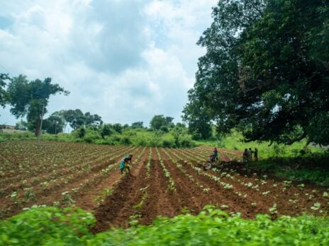 Fashion brands back project to boost organic cotton transparency Fashion brands back project to boost organic cotton transparency
