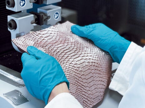 Tomtex raises $1.7m to scale leather alternatives operation Tomtex raises $1.7m to scale leather alternatives operation