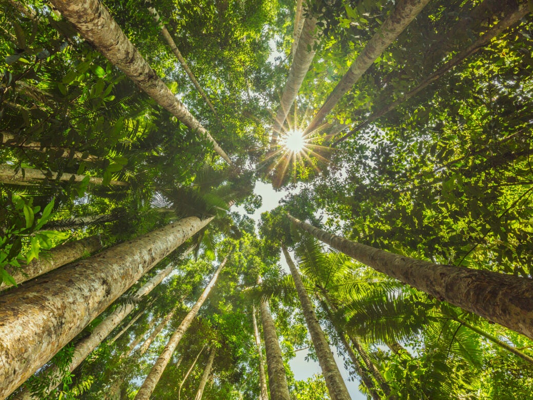 Canopy amongst Keeling winners for climate efforts