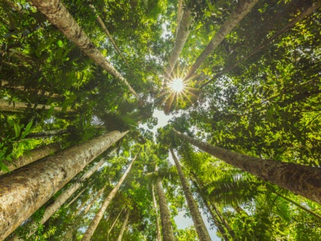 Canopy amongst Keeling winners for climate efforts Canopy amongst Keeling winners for climate efforts
