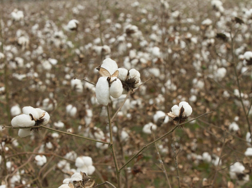 India signs co-operation deal to "mainstream" textile sustainability