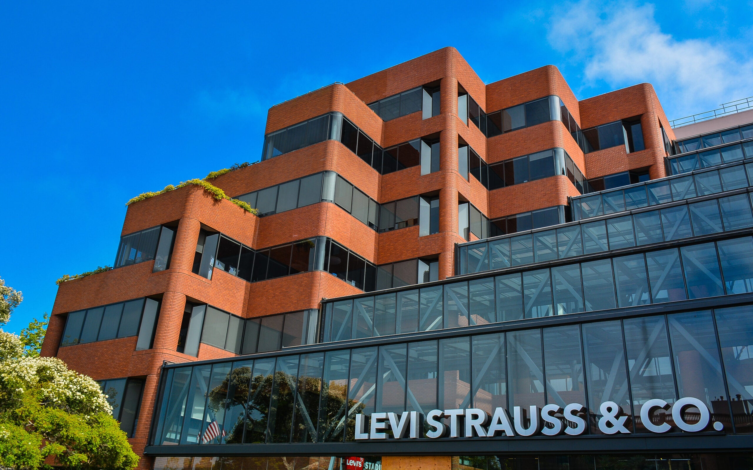 Levi Strauss eyes net zero emissions 2050 new sustainability goals Just Style