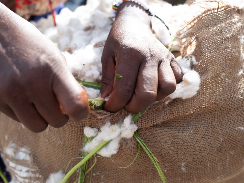 Cotton made in Africa (CmiA)