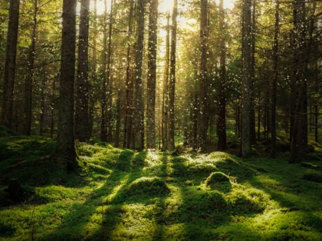 Scandinavian Outdoor Group announces climate commitment criterion Scandinavian Outdoor Group announces climate commitment criterion