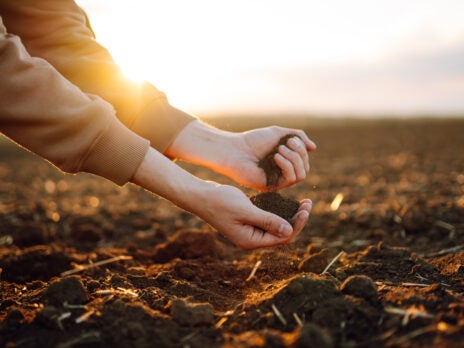 ZQRX, Land to Market team on regeneratively grown materials for fashion ZQRX, Land to Market team on regeneratively grown materials for fashion