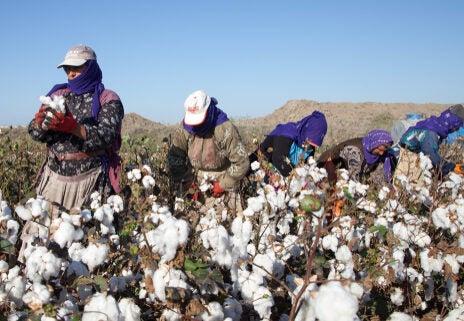 Türkiye textile sector eyes $1bn in US exports in 2022 Türkiye textile sector eyes $1bn in US exports in 2022