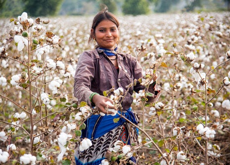 Apparel retailers Macy's, JCPenney join Better Cotton Apparel retailers Macy's, JCPenney join Better Cotton
