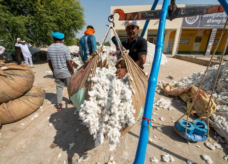 Could the cotton crash of 2022 signify the next recession? Could the cotton crash of 2022 signify the next recession?
