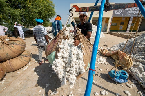 cotton recession