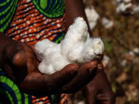 UN, global organisations call for more Cotton Made in Africa investments UN, global organisations call for more Cotton Made in Africa investments