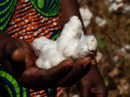 Cotton Africa investments