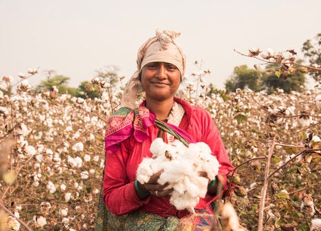 Levi Strauss & Co among latest OCA contributors Levi Strauss & Co among latest OCA contributors