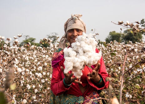 Better Cotton incentivises farmers to adopt sustainable agricultural practices Better Cotton incentivises farmers to adopt sustainable agricultural practices