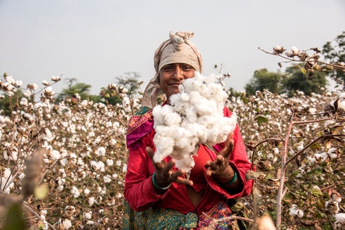 Better Cotton incentivises farmers to adopt sustainable agricultural practices