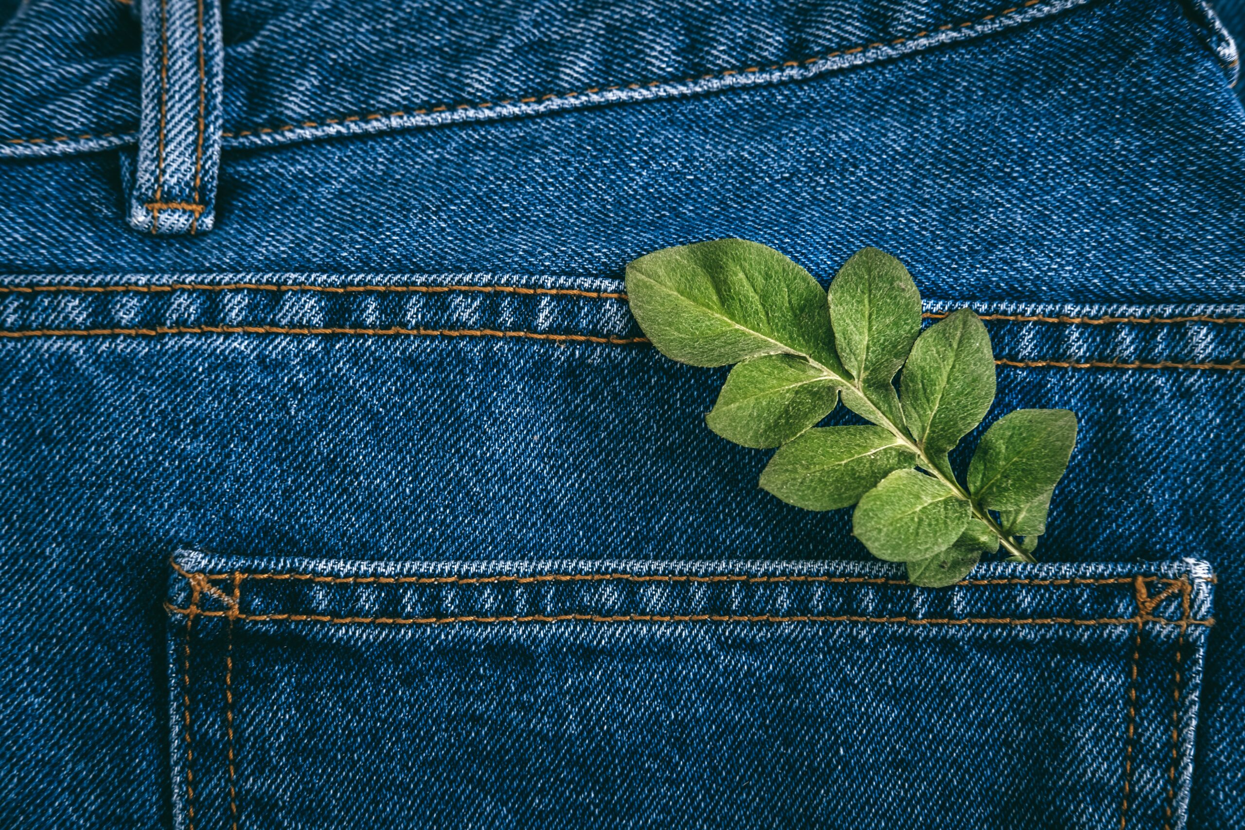 Madewell debuts jeans with bluesign-approved Isko fabrics