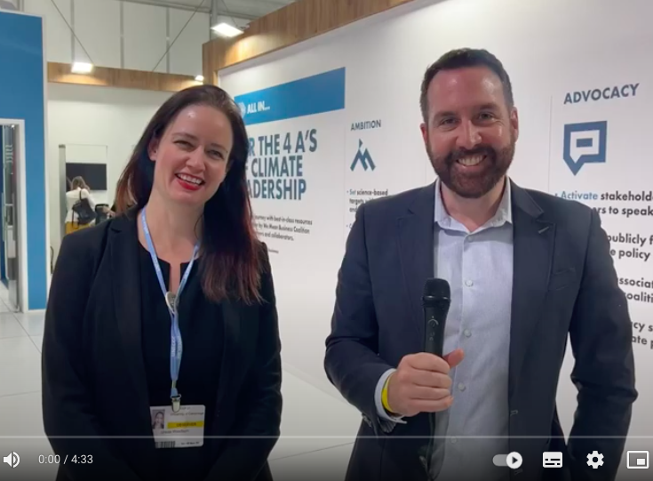 What do companies need from COP27? What do companies need from COP27?