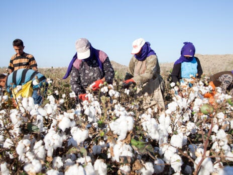 Serious ramifications if UK found guilty for Xinjiang cotton imports