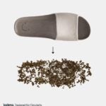 Balena debuts 100% biodegradable plastic footwear