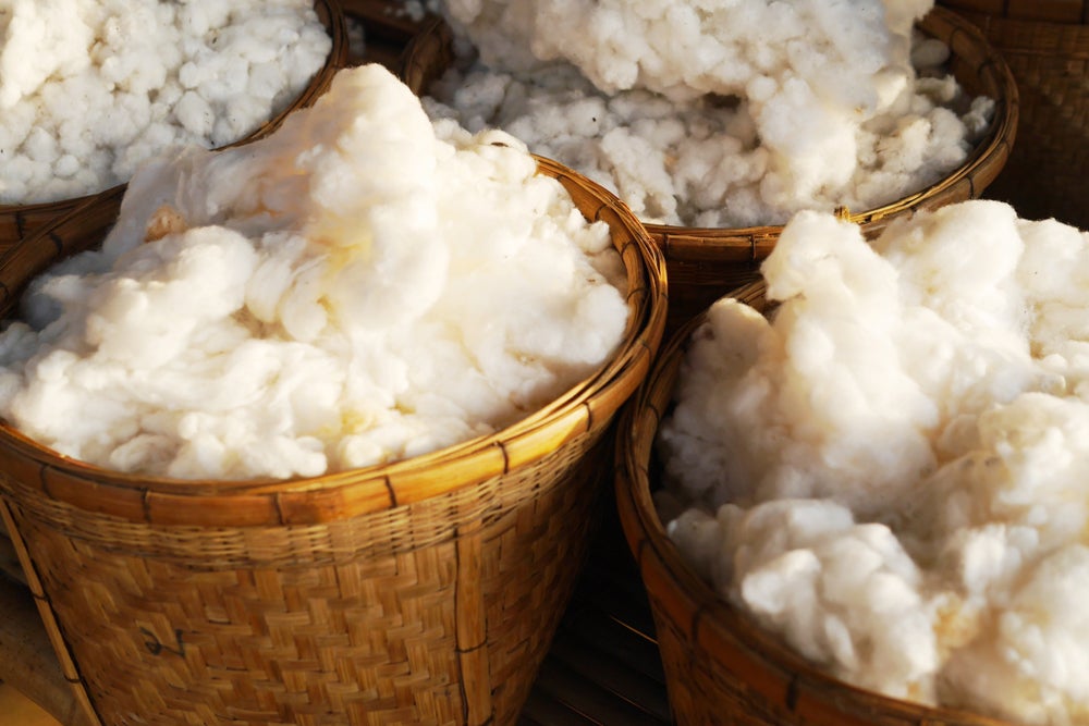 Govt Approves New Support Price for Cotton During FY23