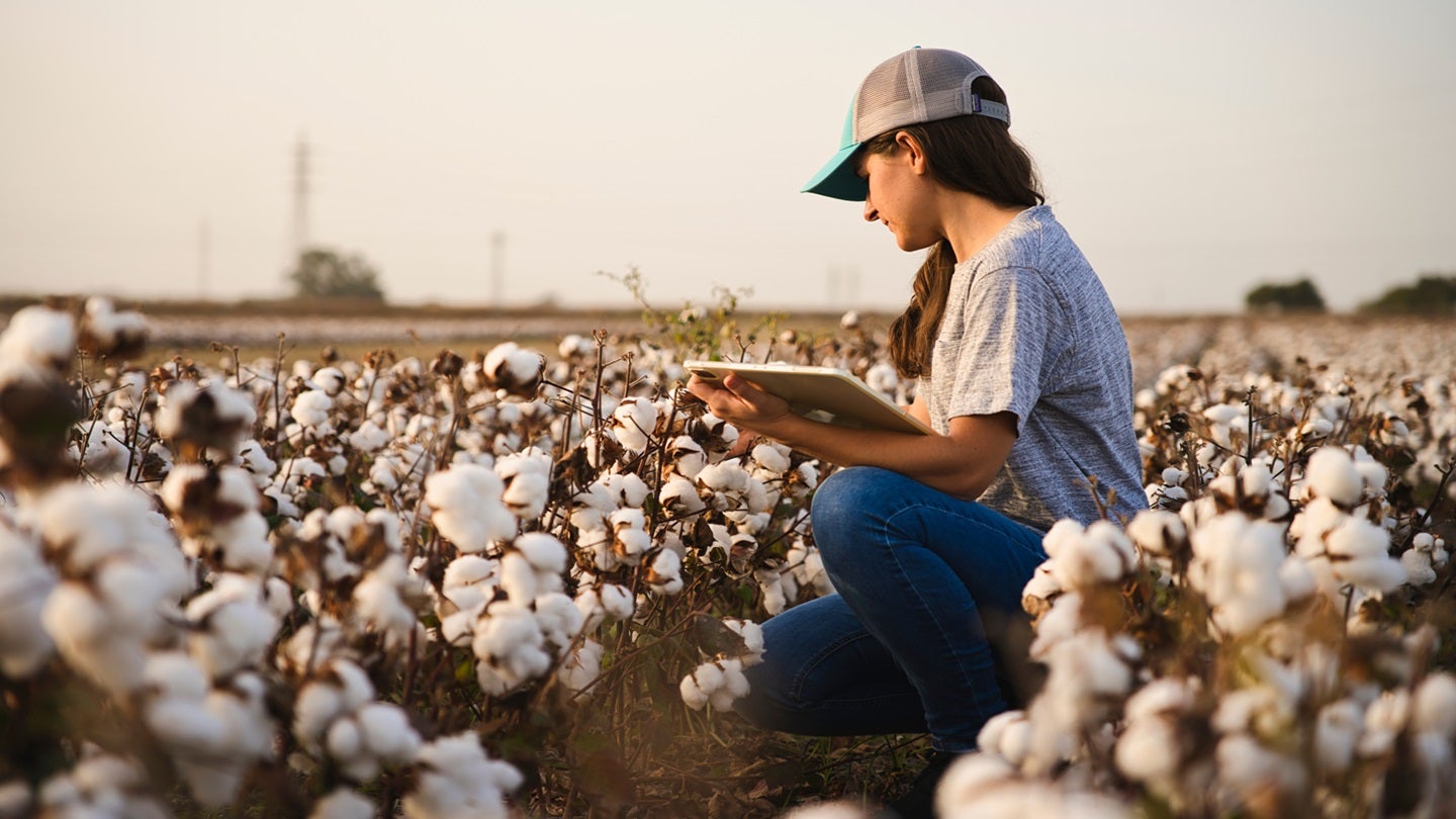 US cotton sector blasts new report, calls for science-based policy