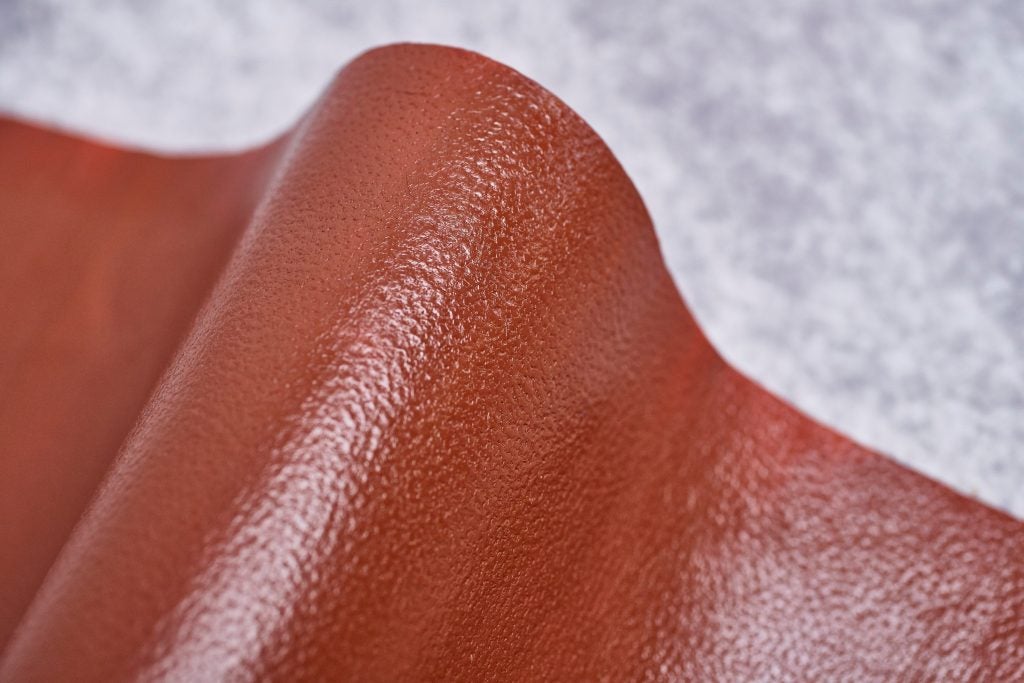 Bacterial Cellulose Leather