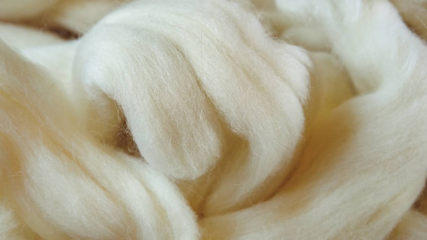 Australia’s EMI hits highest level since 2022 as wool demand surges